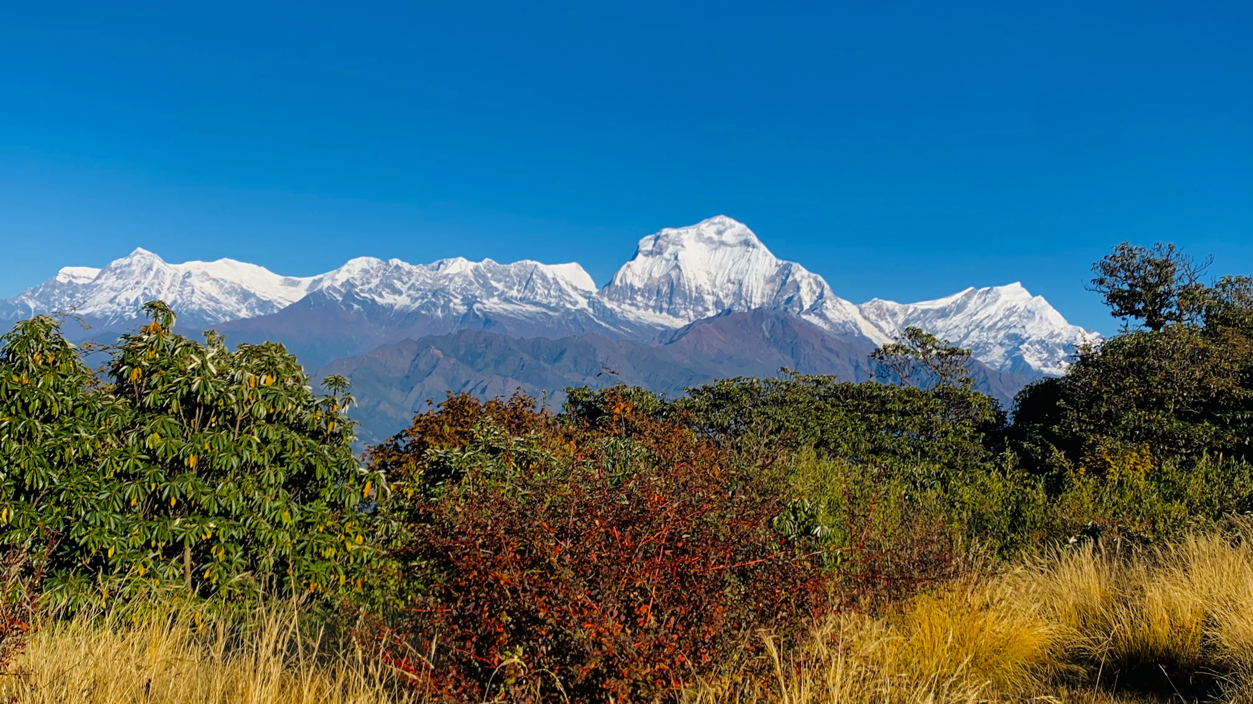 Annapurna Range